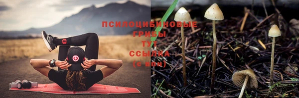 скорость Осташков