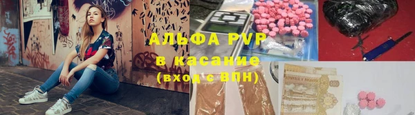 ПСИЛОЦИБИНОВЫЕ ГРИБЫ Осинники