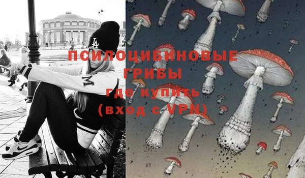 мескалин Белокуриха