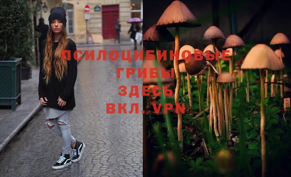 марки lsd Белоозёрский